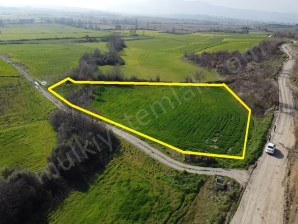 Gönen Tütüncüde Satılık 5 Dönüm Tarla