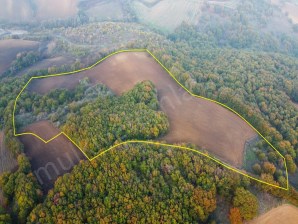 Manyas Doğancı Satılık 48 Dönüm Kelepir Arazi