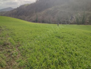 Anayol Üzerinde Satılık 5,5 Dönüm Tarla