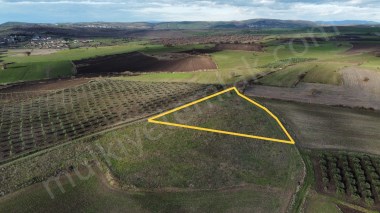 KÖRPEAĞAÇ MAHALLESİNDE SATILIK KÖŞE PARSEL 6.200M2 TARLA