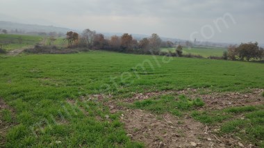 Gönen Tütüncüde Satılık 5 Dönüm Tarla