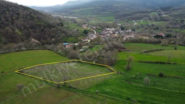 KÖY DİBİNDE UCUNDAN İMARA GİREN CEVİZLİK