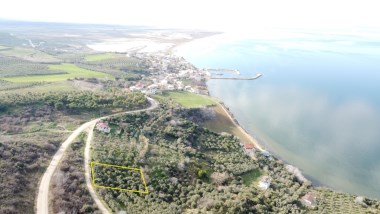 DENİZE AÇIK MANZARALI 1.520M2 BAĞ VASFINDA ZEYTİNLİK