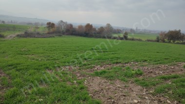 Gönen Tütüncüde Satılık 5 Dönüm Tarla
