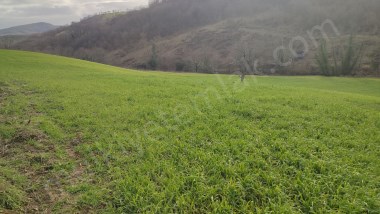 Anayol Üzerinde Satılık 5,5 Dönüm Tarla