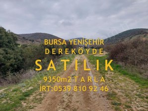 BursaYenişehir DEREKÖY,DE Acil SATILIK YoluSuyu Olan 9350m2 TARLA