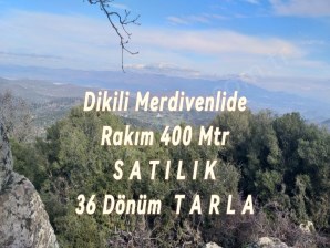 DİKİLİ MERDİVENLİDE SATILIK 400Mtr RAKIMLI 36DÖNÜM TARLA