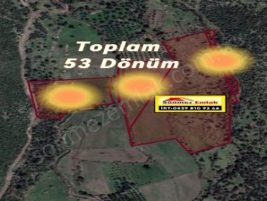 İZMİR DİKİLİ MERDİVENLİ,DE SATILIK 53 DÖNÜM TARLA VE ZEYTİNLİK