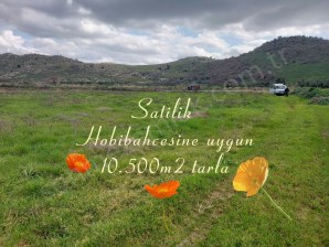 Dikili ismetpaşa,da HobiBahçesi,ne uygun Satılık 10.5OO m2 TARLA