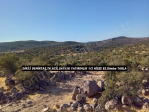 DİKİLİ DEMİRTAŞ,TA ACİL SATILIK YATIRIMLIK 12 HİSSE 82.Dönüm TARLA