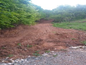 KESTEL LÜTFİYE,DE AHUDUDU EKİLİ  SATILIK 1674 M2 HOBİ BAHÇESİ 