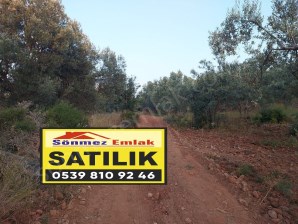 Bergama Zeytindağ.da Deniz Manzaralı Satılık 5857m2 Zeytinlik