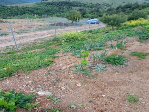 BURSA OSMANGAZİ AVDANCIKTA SATILIK 2700m2 HİSSELİ HOBİBAHÇESİ