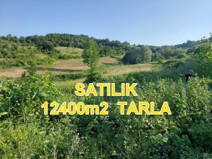 BURSA M.KEMALPAŞA YALINTAŞTA SATILIK İMARSINIRINA YAKIN 12400m2 TARLA
