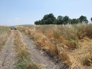 Bursa Mustafakemalpaşa Kavaklıda Satılık İmara Yakın 6200m2 Tarla 