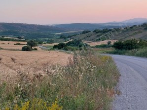 BURSA KARACABEY ÇAMLICADA ANAYOLA YAKIN SATILIK YATIRIMLIK 2000m2 TARLA