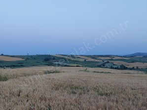 BURSA KARACABEY ÇAMLICADA ANAYOLA YAKIN SATILIK YATIRIMLIK 7300m2 TARLA