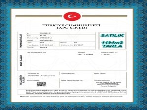 ESKİŞEHİR ALPU BÜĞDÜZ MAH.DE FIRSAT SATILIK 1194m2 TARLA
