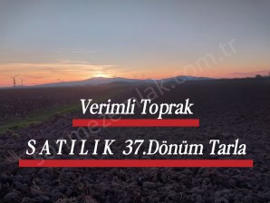 İZMİR BERGAMA OVACIKTA SATILIK TARIMA UYGUN VERİMLİTOPRAK OTUZYEDİ DÖNÜM TARLA