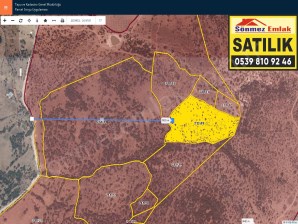 DİKİLİ DEMİRTAŞ,TA KÖY MERASINA BİTİŞİK SATILIK 27 DÖNÜM ARAZİ