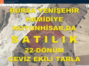 BURSA YENİŞEHİR HAMİDİYE,DE TAKASA AÇIK SATILIK 22 DÖNÜM CEVİZ EKİLİ TARLA