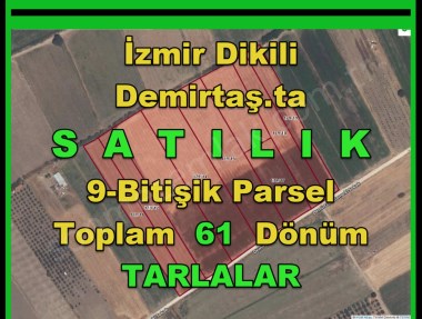 İZMİR DİKİLİ DEMİRTAŞTA SERAYA UYGUN SATILIK 61.DÖNÜM TARLA
