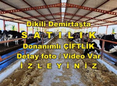 İzmir Dikili Demirtaşta Fırsat SATILIK 14850m2 Tam Donanımlı Büyükbaş Çiftlik Tesisi 