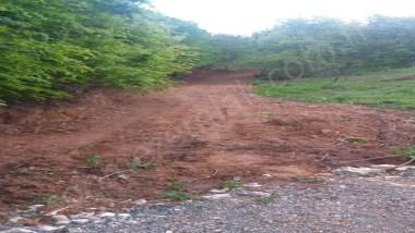 KESTEL LÜTFİYE,DE AHUDUDU EKİLİ  SATILIK 1674 M2 HOBİ BAHÇESİ 