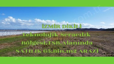 İZMİR DİKİLİ SERACILIK _TSB_ BÖLGESİNDE SATILIK 65_Bin_m2 ARAZİ