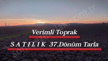 İZMİR BERGAMA OVACIKTA SATILIK TARIMA UYGUN VERİMLİTOPRAK OTUZYEDİ DÖNÜM TARLA