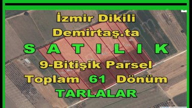 İZMİR DİKİLİ DEMİRTAŞTA SERAYA UYGUN SATILIK 61.DÖNÜM TARLA