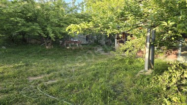 ERZURUM EMLAK SEPETİNDEN TORTUM KALEDİBİNDE SATILIK BAHÇELER