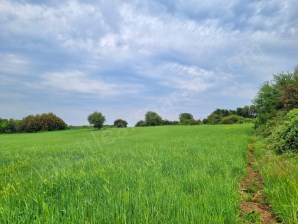 ÇANAKKALE EZİNE KIZILKÖYDE FIRSAT ARAZİ