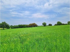 ÇANAKKALE EZİNE KIZILKÖYDE 15.200M2 SATILIK TARLA