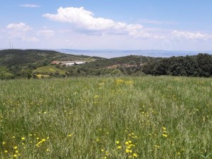ÇANAKKALE LAPSEKİ GÜRECİ KÖYÜNDE 7.089 M2 SATILIK TARLA