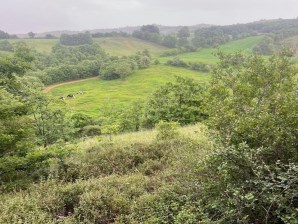 ÇANAKKALE BİGA ÇELTİK KÖYÜ 15 DÖNÜM SATILIK TARLA. 
