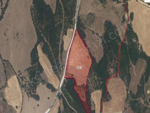 27.000m2 Eko Turizm Alanı