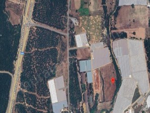 41) Seraya Elverişli, Antalya Topallı 24925 m2 Satılık Tarla