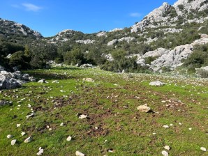 Marmaris Lider Emlak selimiyeden kizilkoyde yol cepheli tarla 