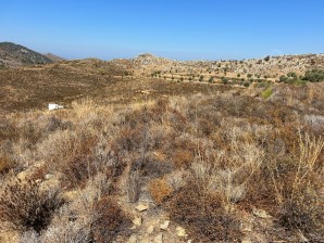Marmaris Lider Emlak selimiyeden bozburun da yatırıma uygun tarla 