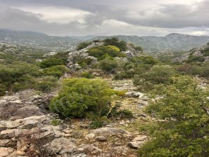 Marmaris Lider Emlak selimiyeden kizilkoyde yol cepheli satilik tarla 