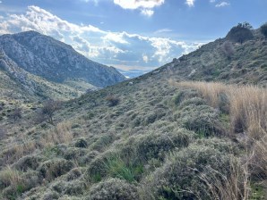 Marmaris Lider Emlak selimiyeden Bozburun da satilik tarla 