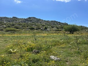 MARMARİS LİDER EMLAK SELİMİYEDEN BOZBURUN DA SATİLİK TARLA 