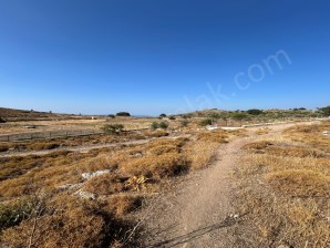 MARMARİS LİDER EMLAK SELİMİYEDEN SATİLİK TARLA 