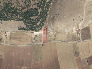 MERKEZ ELMACIK KÖYÜNDE SATILIK TEK KATLI EV VE ARSASI