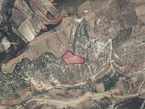 MERKEZ EYNİHAN KÖYÜNDE SATILIK 31 DÖNÜM TARLA