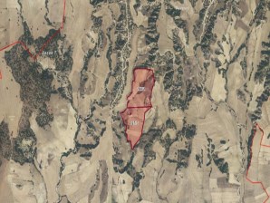 MERKEZ SİRGE KÖYÜNDE SATILIK 84 DÖNÜM SATILIK TARLA