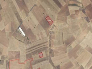 MERKEZ ELMACIK KÖYÜNDE FIRSATLIK 2 PARSEL TARLA