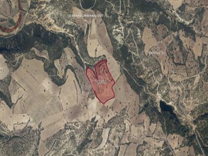 UŞAK MERKEZ KARABEYLİ KÖYÜNDE 67 DÖNÜM SATILIK TARLA