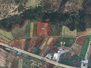 TÜVTÜRK ARKASI YOLA CEPHE 2.500 m2Sİ SATILIK TARLA